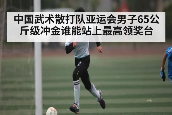 中国武术散打队亚运会男子65公斤级冲金谁能站上最高领奖台