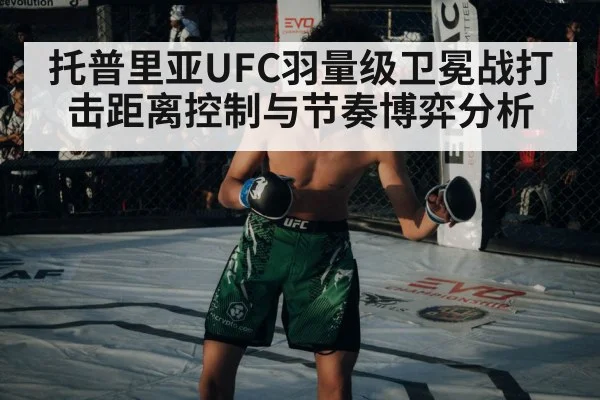 UFC octagon cage fight